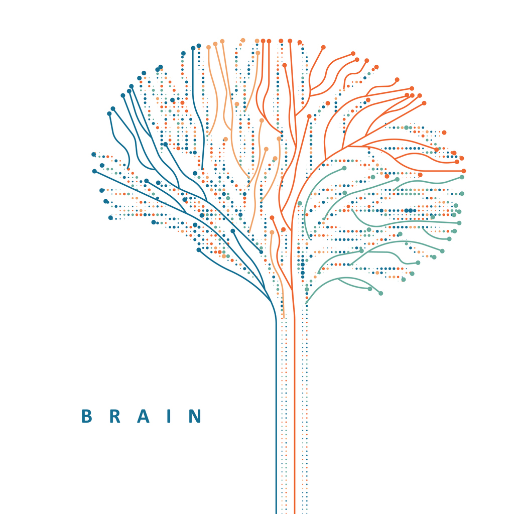 Abstract multicolored brain connections.